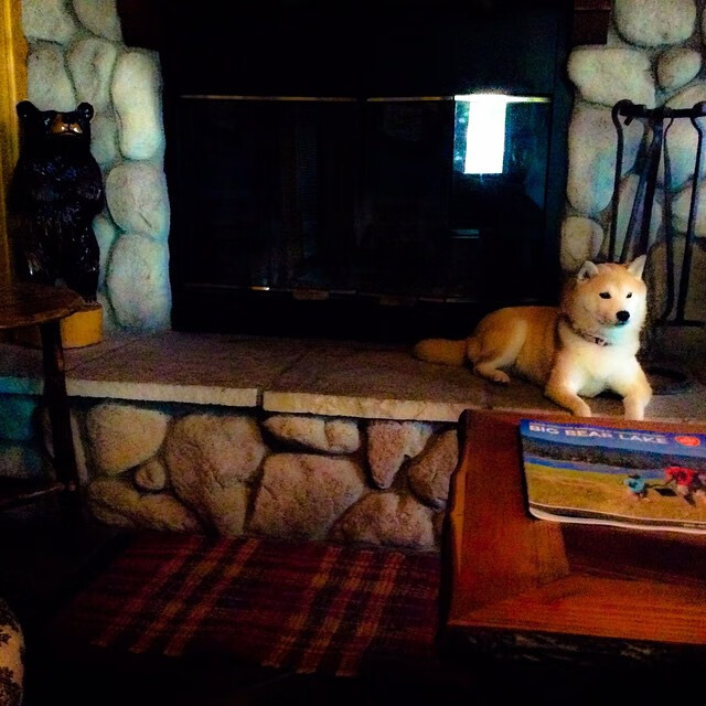 _魔术队全队奋战,迎来季后赛希望_,魔术队2020