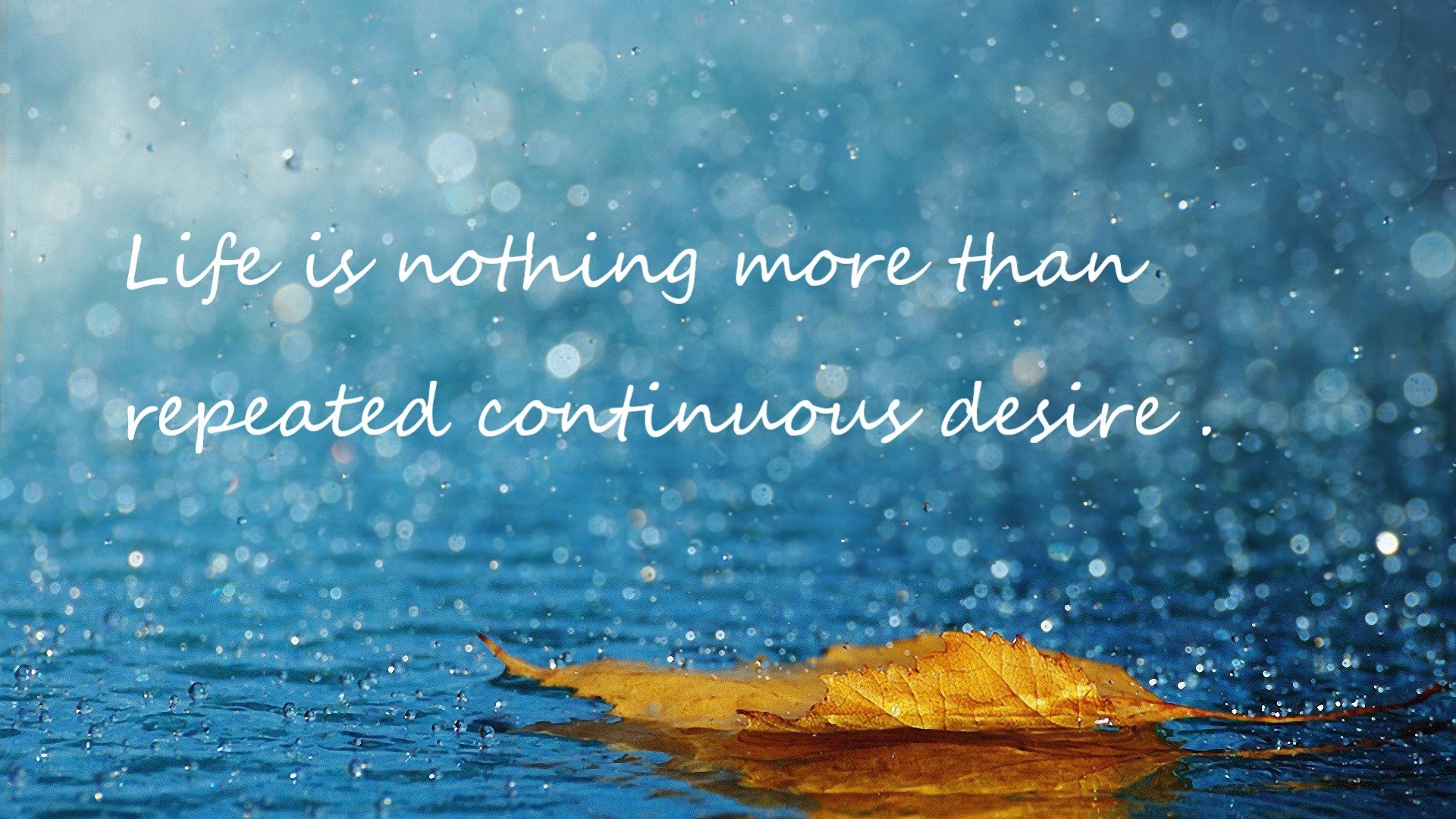 _魔术队创造历史,单场三双表现惊人_,魔术队队史第一人