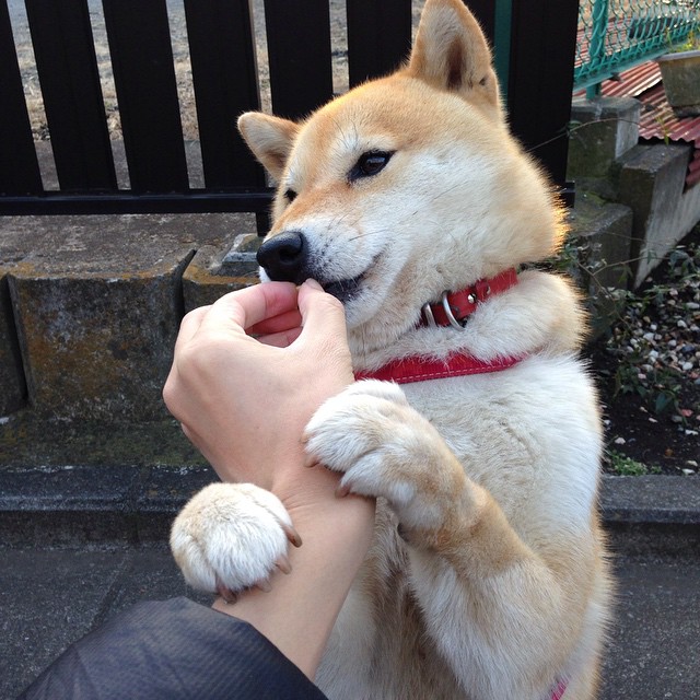 kaiyun中国官方网站-全国青少年篮球技能大赛掀起新一轮青春热潮，发现未来之星，2021全国青少年篮球联赛