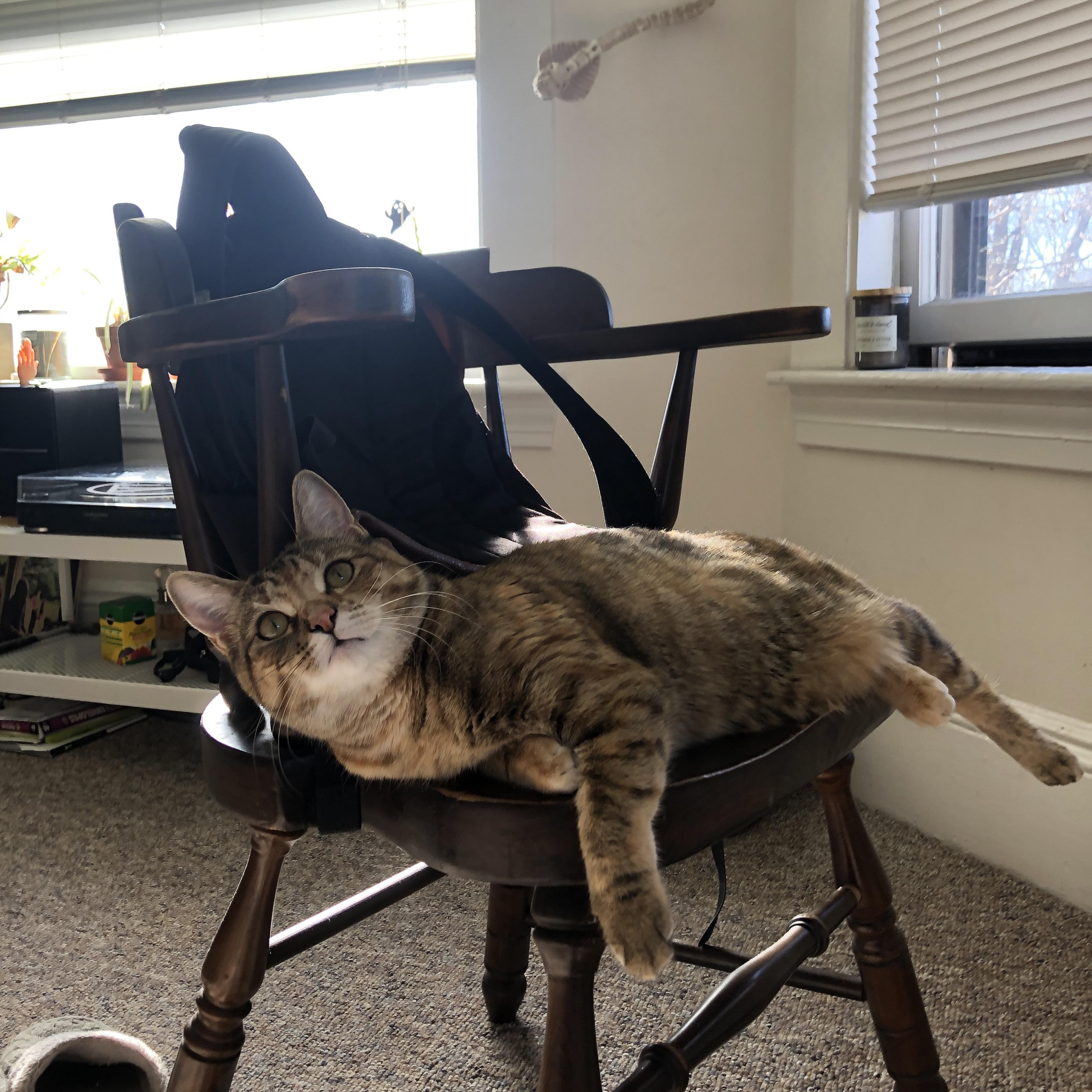 LCS世界赛经验不足引发讨论,lcs比赛