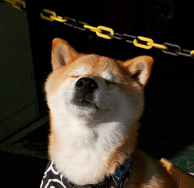 女足世界杯未来发展展望,女足世界杯出现