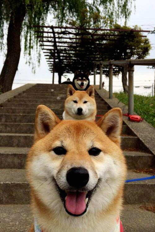 五大联赛主力球员连场出战是否影响射门质量,五大联赛连胜最多的球队