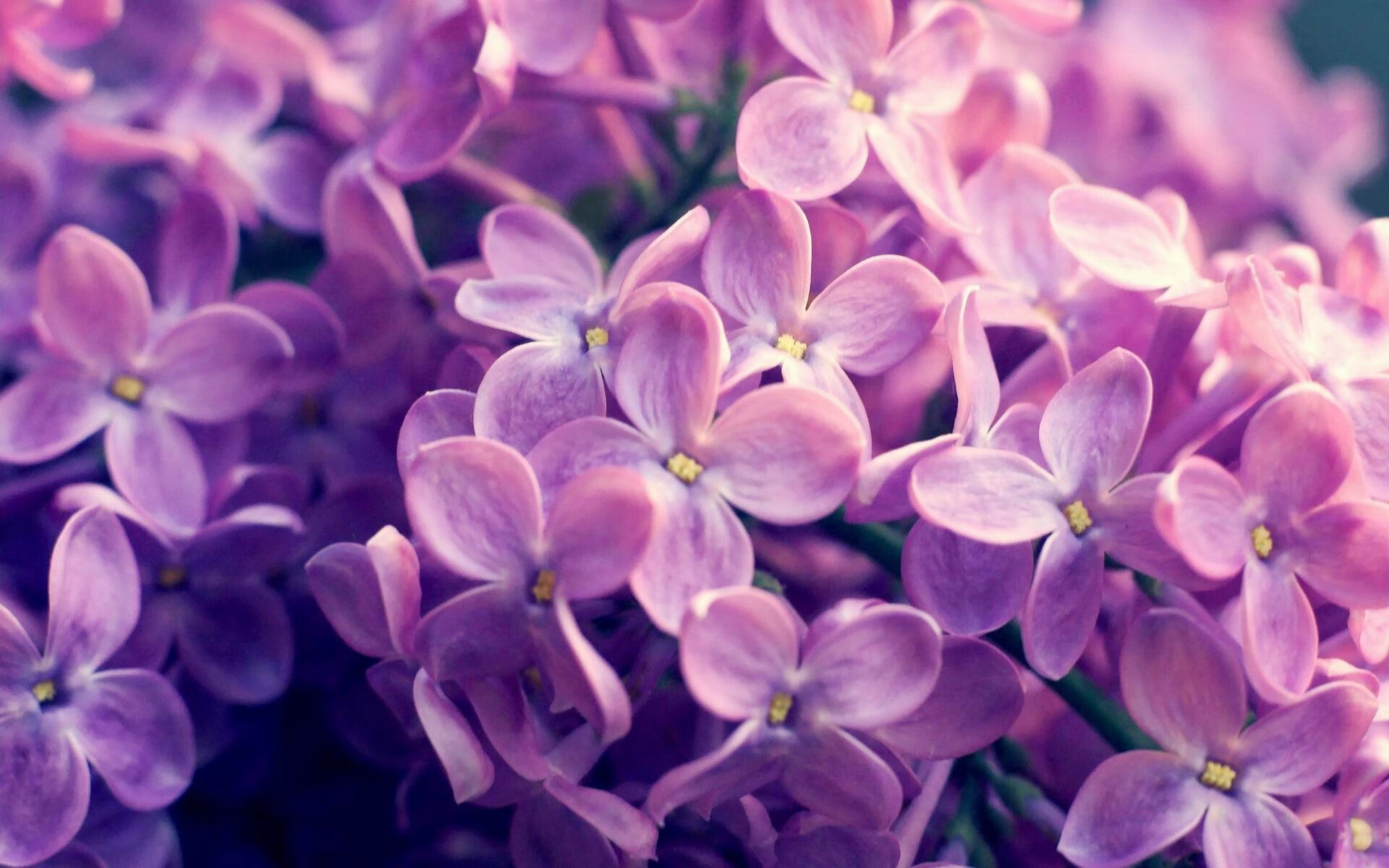 五大联赛是否将传球前的身体预备动作纳入训练重点,传球的五大要素