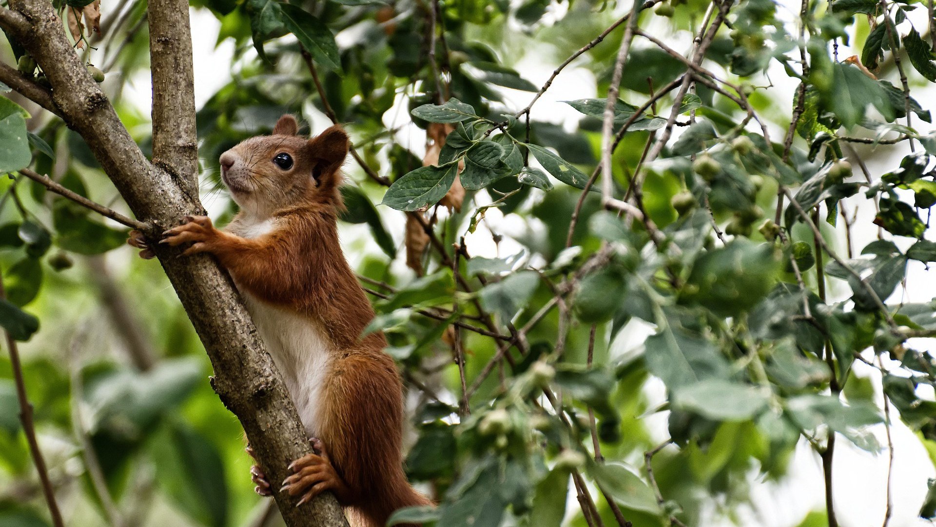 开云·体育全站登录地址-奥预赛国足战平 球迷呼吁调整阵容，中国国奥男足预选赛