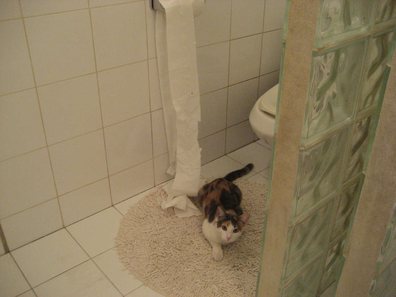 开云官方-国家轮滑协会公布室内训练标准场地参数，轮滑训练场地要求