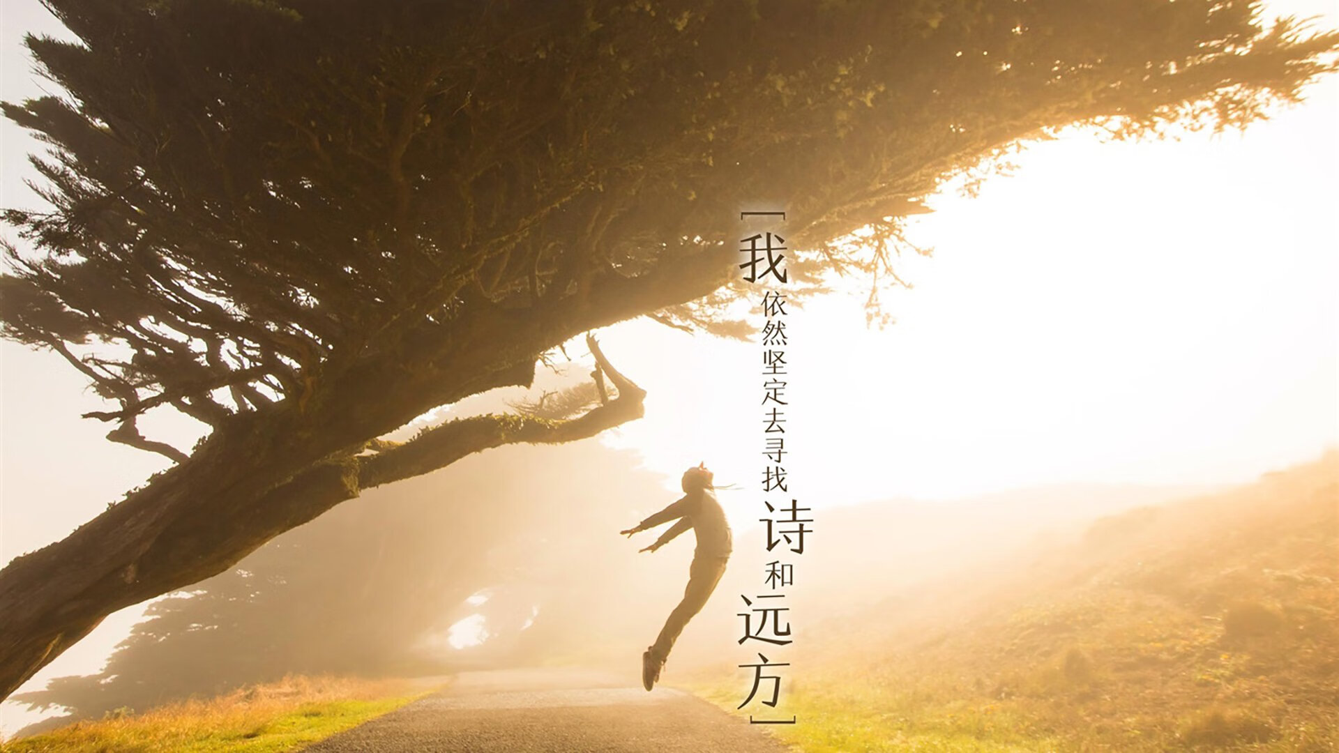 湖人锋线组合展现空接能力赢得现场掌声,湖人主场上空的旗帜