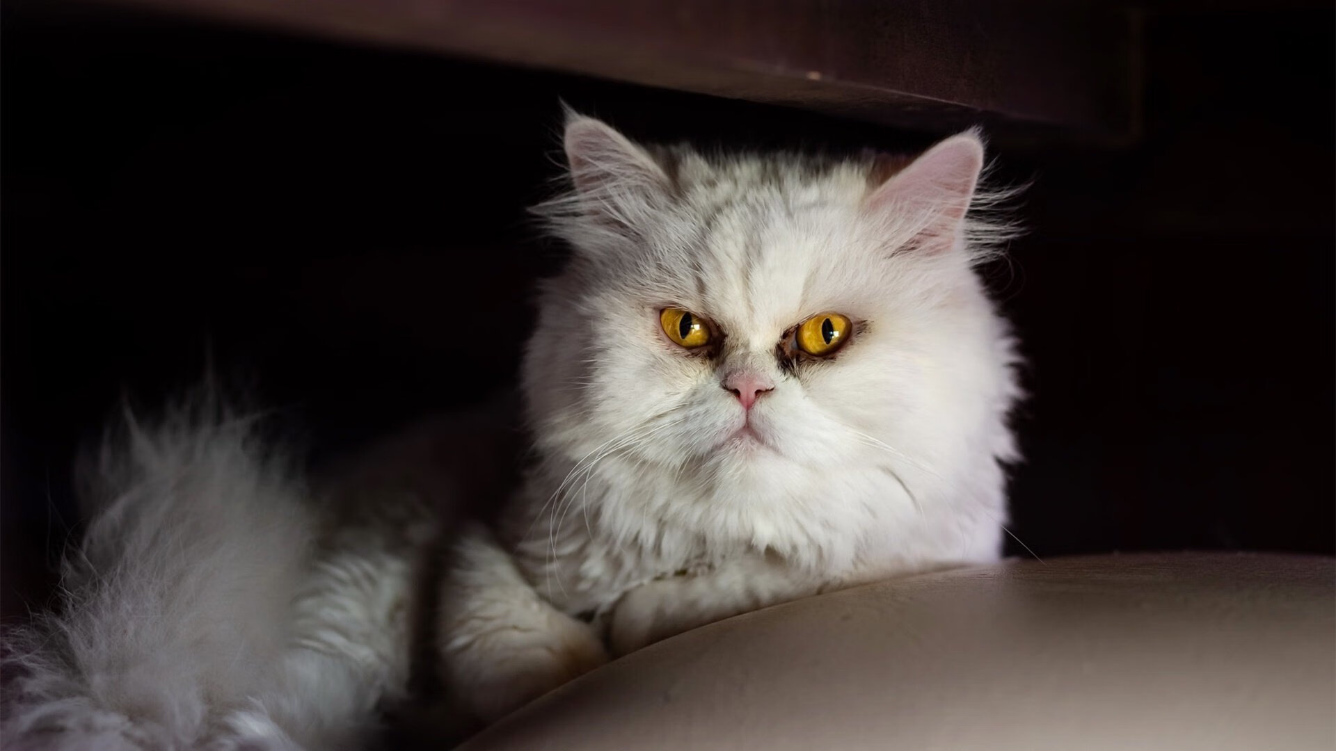 西甲精彩瞬间:精彩进球、精彩扑救不断!,西甲精选